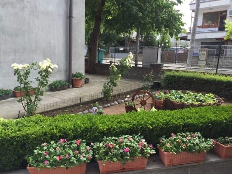 切尔诺莫雷茨 Къща Мечта酒店 外观 照片